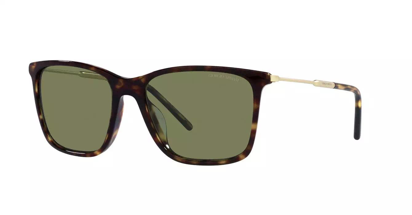 Giorgio Armani AR8176-F 5026/2A s57