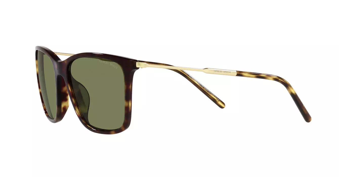 Giorgio Armani AR8176-F 5026/2A s57
