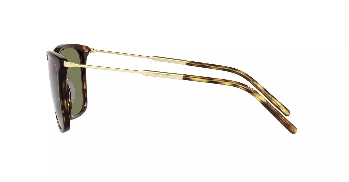 Giorgio Armani AR8176-F 5026/2A s57
