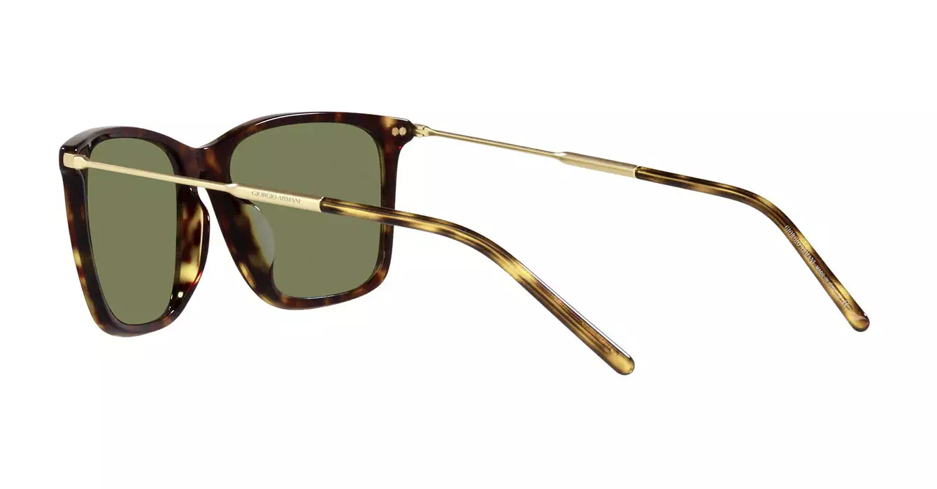 Giorgio Armani AR8176-F 5026/2A s57