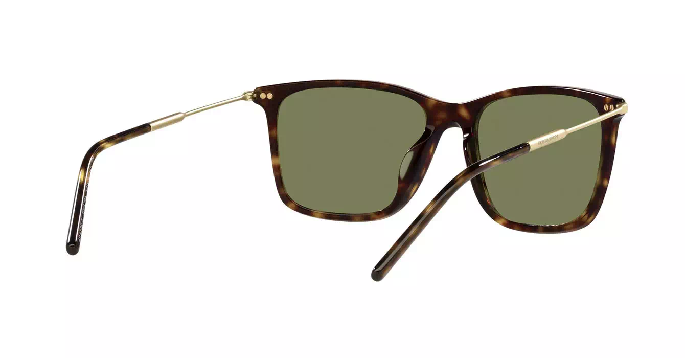 Giorgio Armani AR8176-F 5026/2A s57
