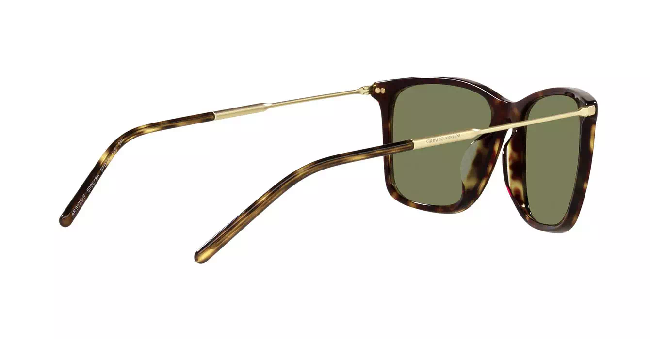 Giorgio Armani AR8176-F 5026/2A s57