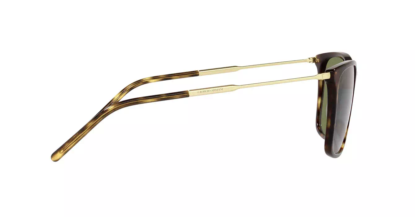 Giorgio Armani AR8176-F 5026/2A s57
