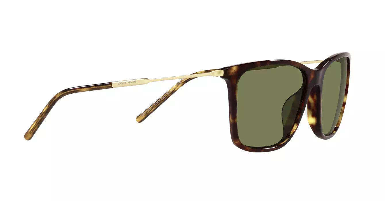 Giorgio Armani AR8176-F 5026/2A s57