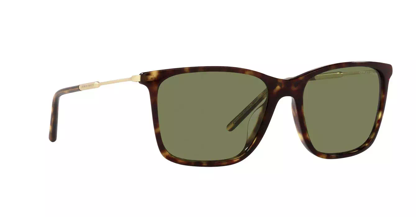 Giorgio Armani AR8176-F 5026/2A s57