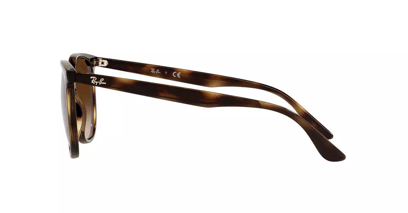 Ray-Ban RB4378F 710/13 s54