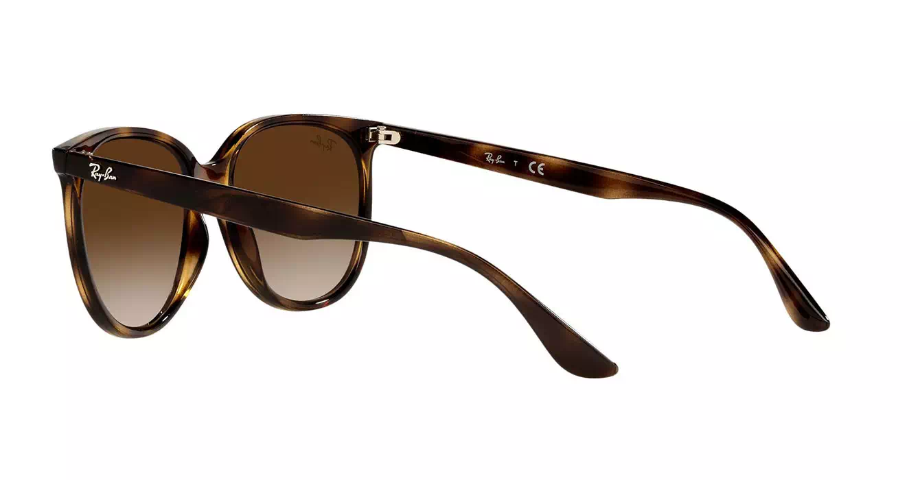 Ray-Ban RB4378F 710/13 s54