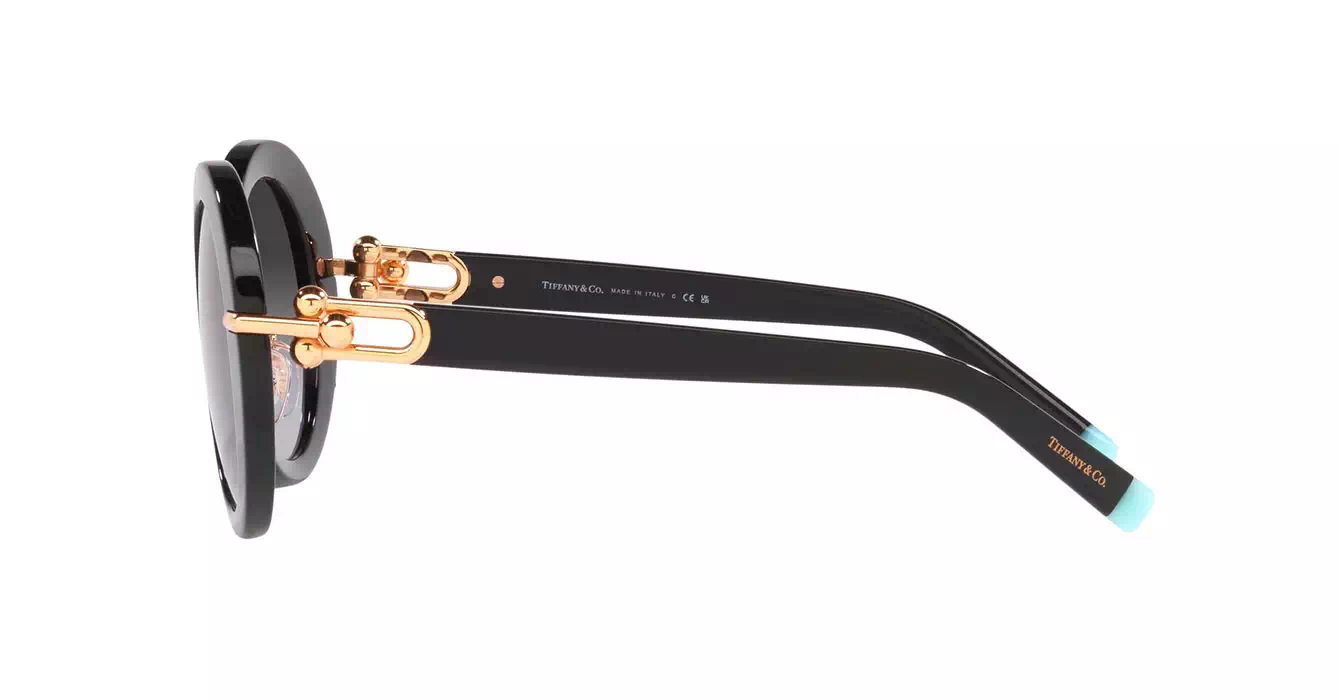 Tiffany&co TF4201 8001/3C s50
