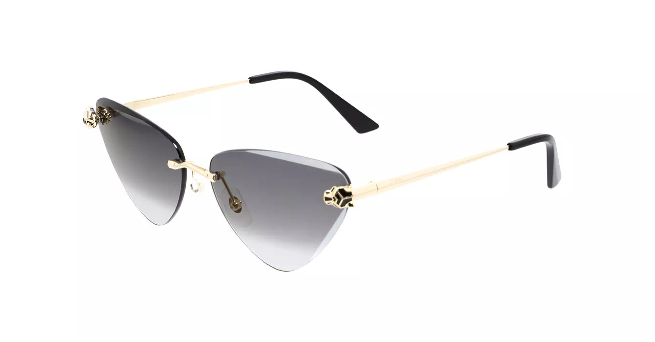 Cartier CT0399S 001 s62