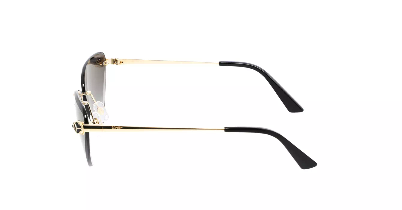 Cartier CT0399S 001 s62