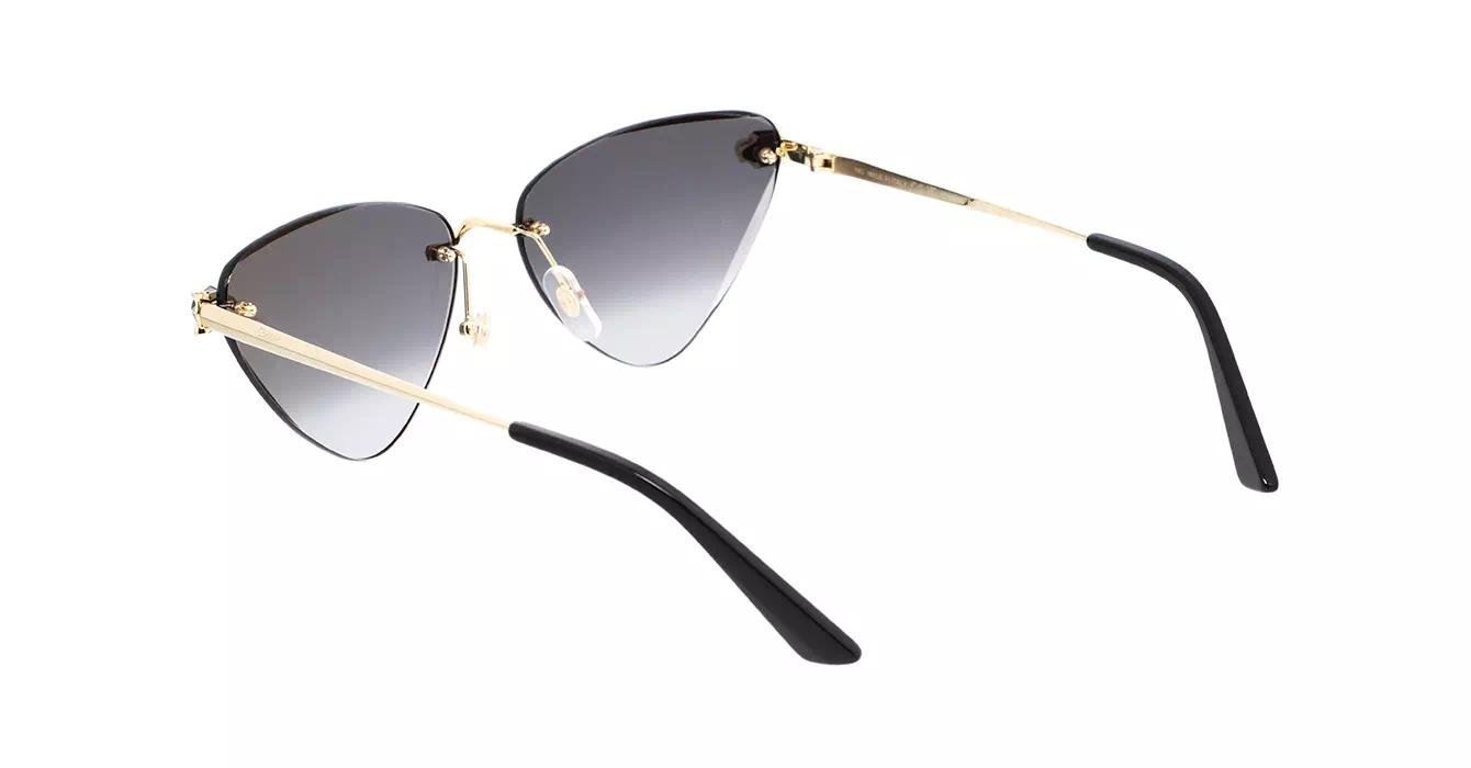 Cartier CT0399S 001 s62