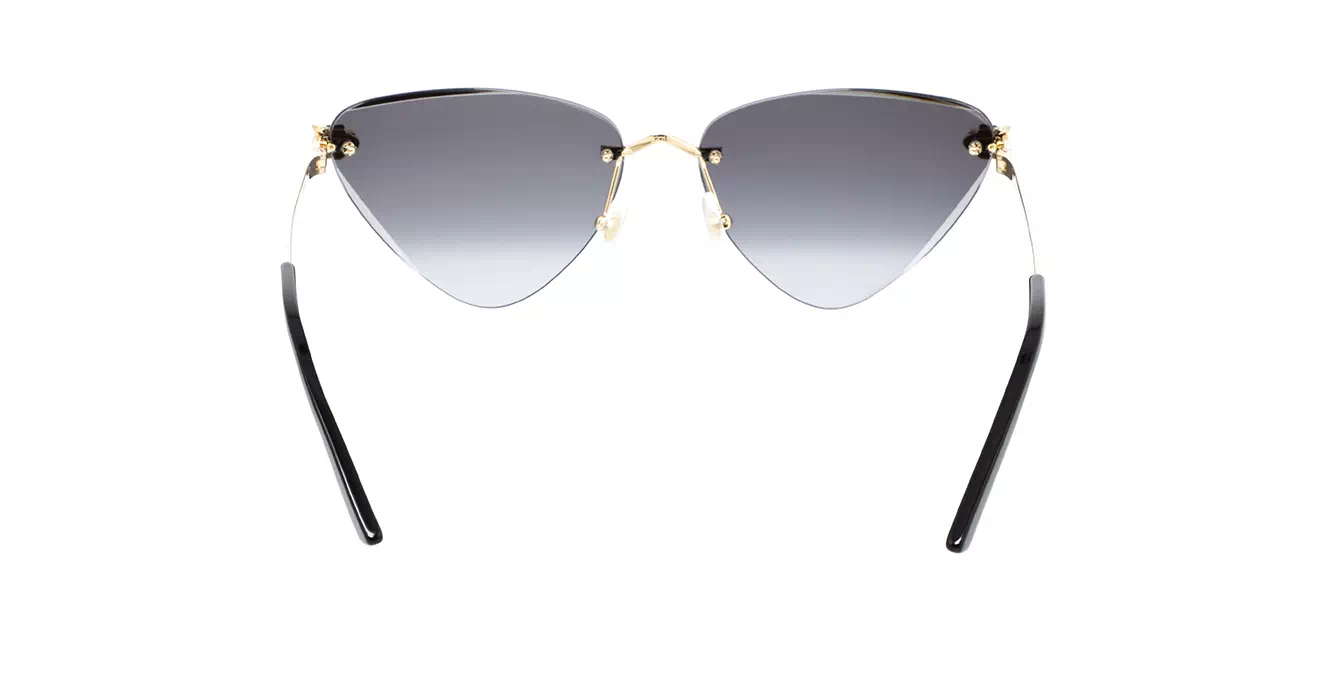 Cartier CT0399S 001 s62