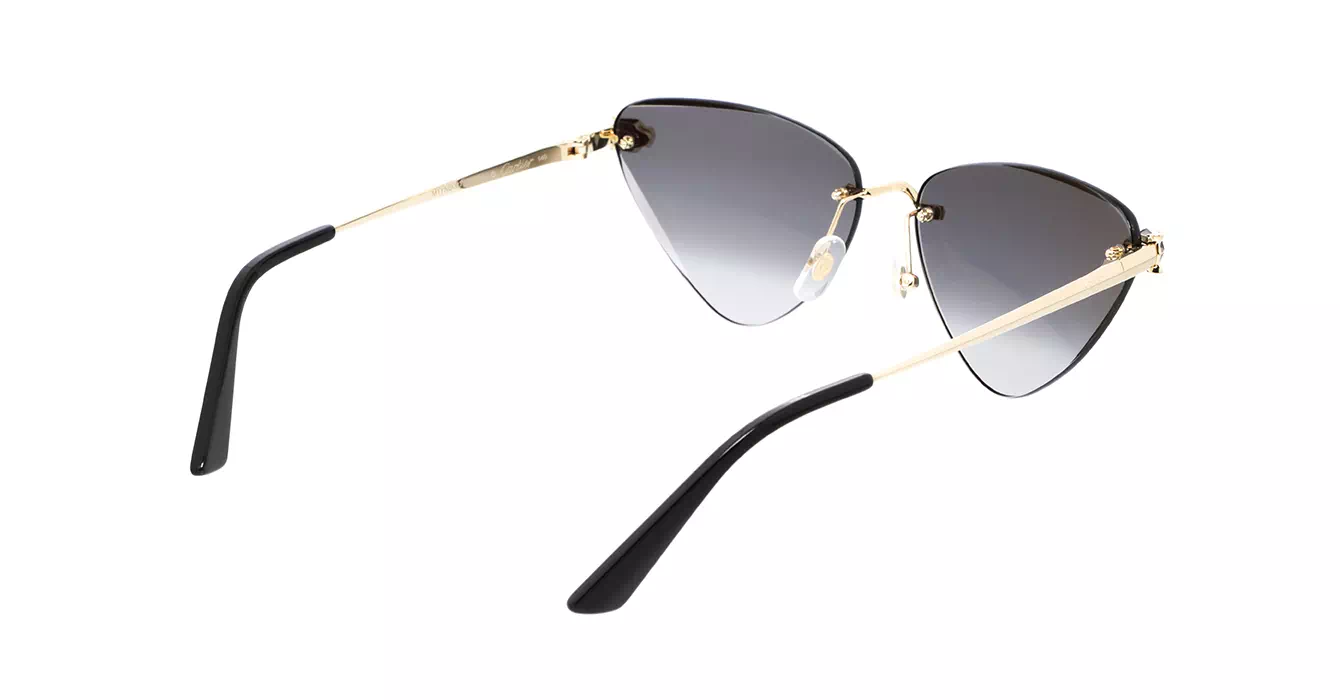 Cartier CT0399S 001 s62