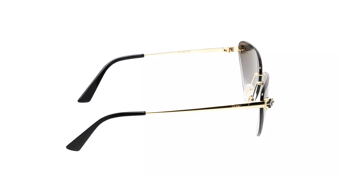 Cartier CT0399S 001 s62