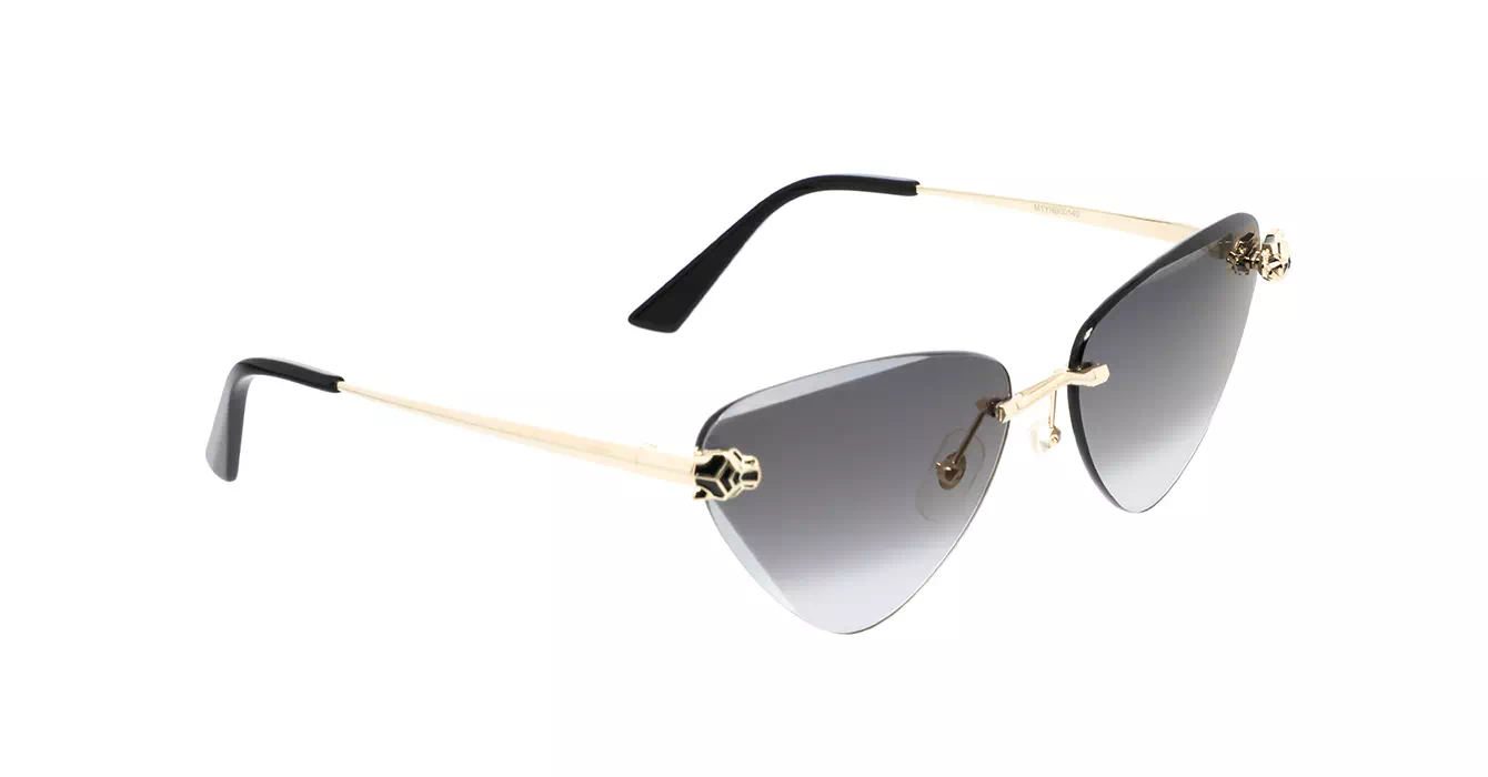 Cartier CT0399S 001 s62