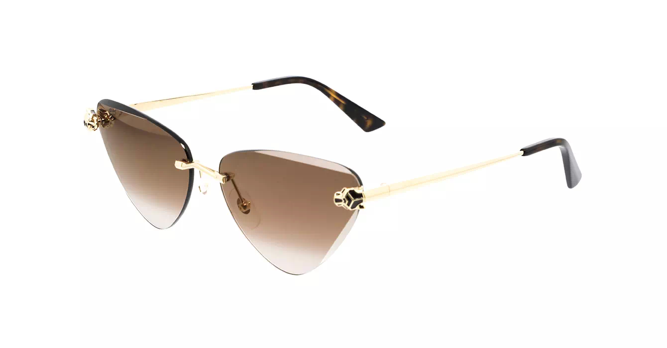 Cartier CT0399S 002 s62