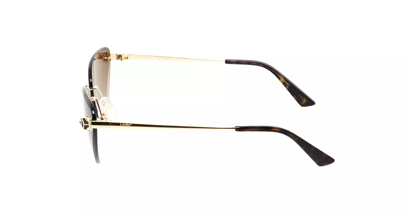 Cartier CT0399S 002 s62