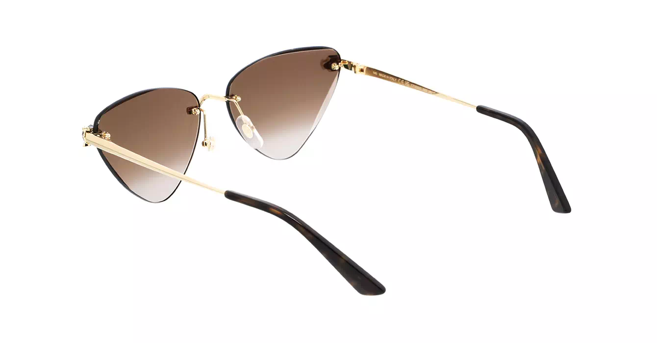 Cartier CT0399S 002 s62