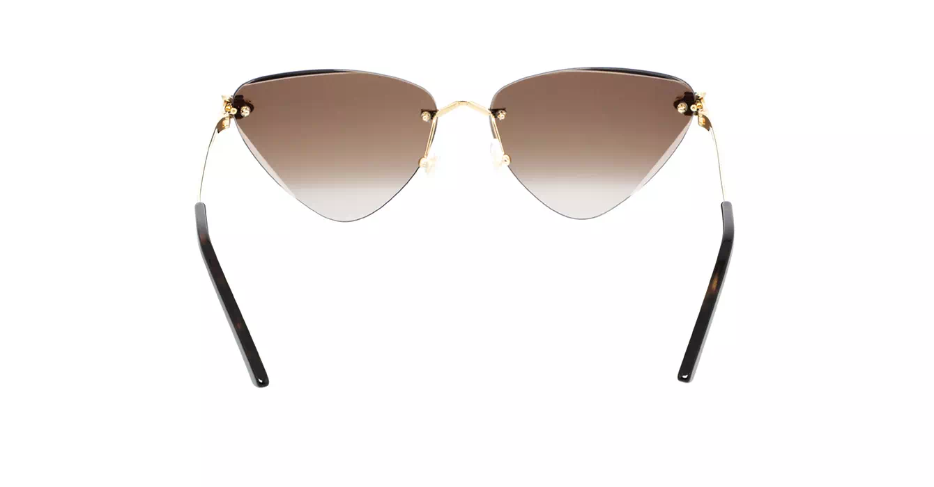 Cartier CT0399S 002 s62