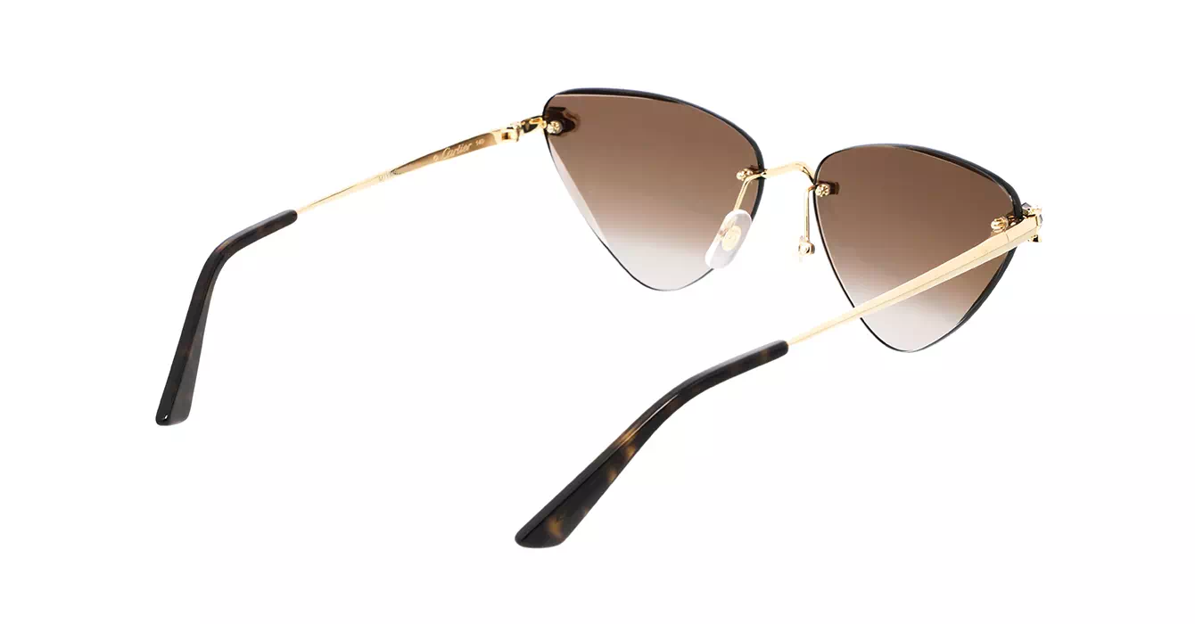 Cartier CT0399S 002 s62