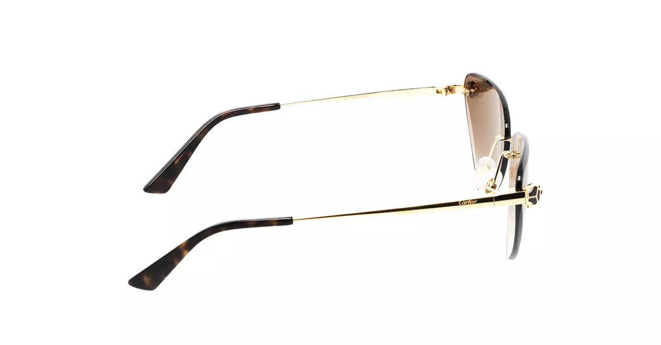 Cartier CT0399S 002 s62