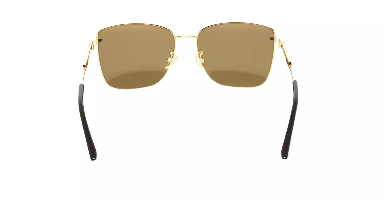 Bottega Veneta BV1237S 002 s57