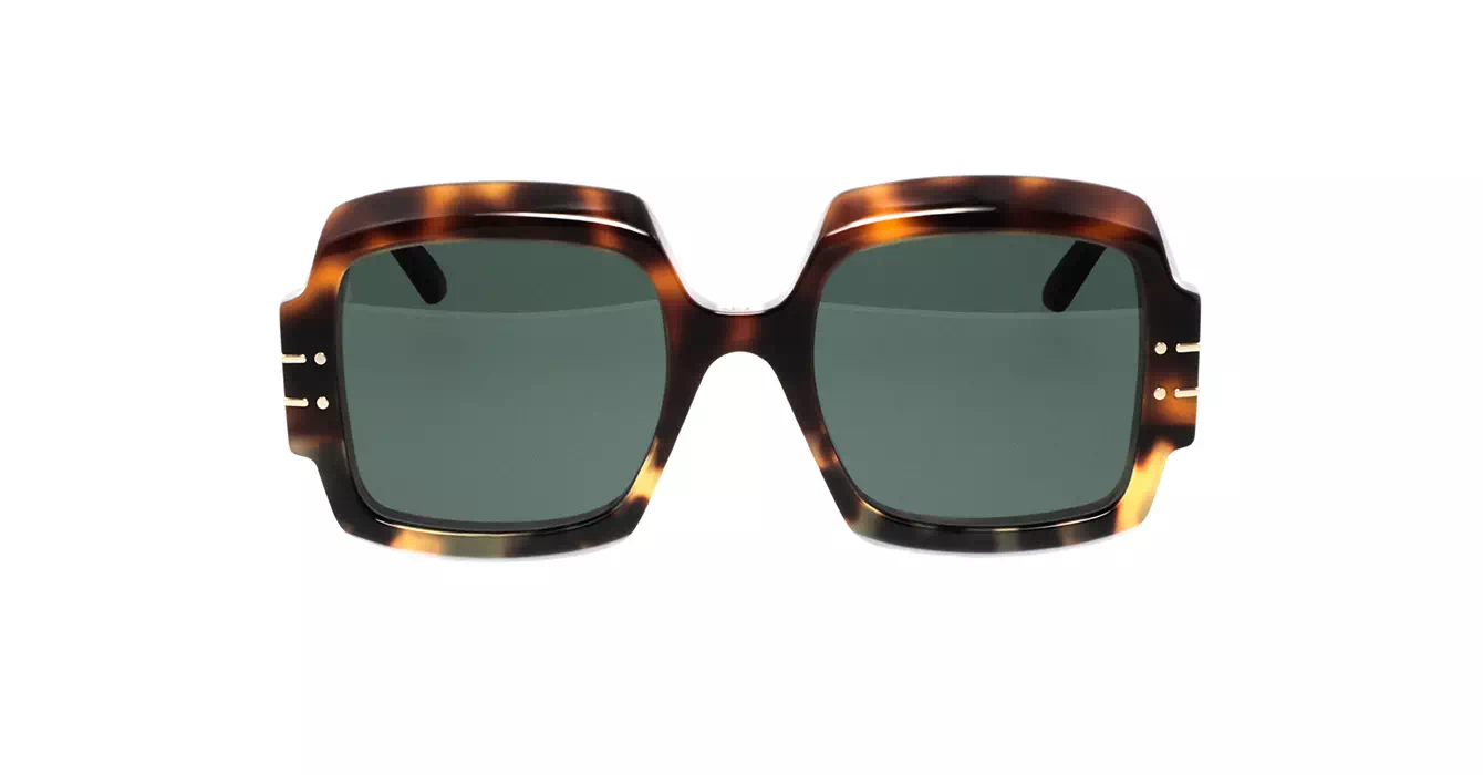 Dior Signature S1U CD40049U 24C0 s55