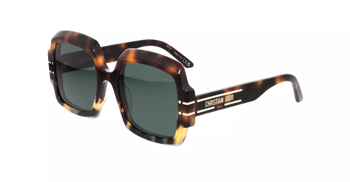 Dior Signature S1U CD40049U 24C0 s55