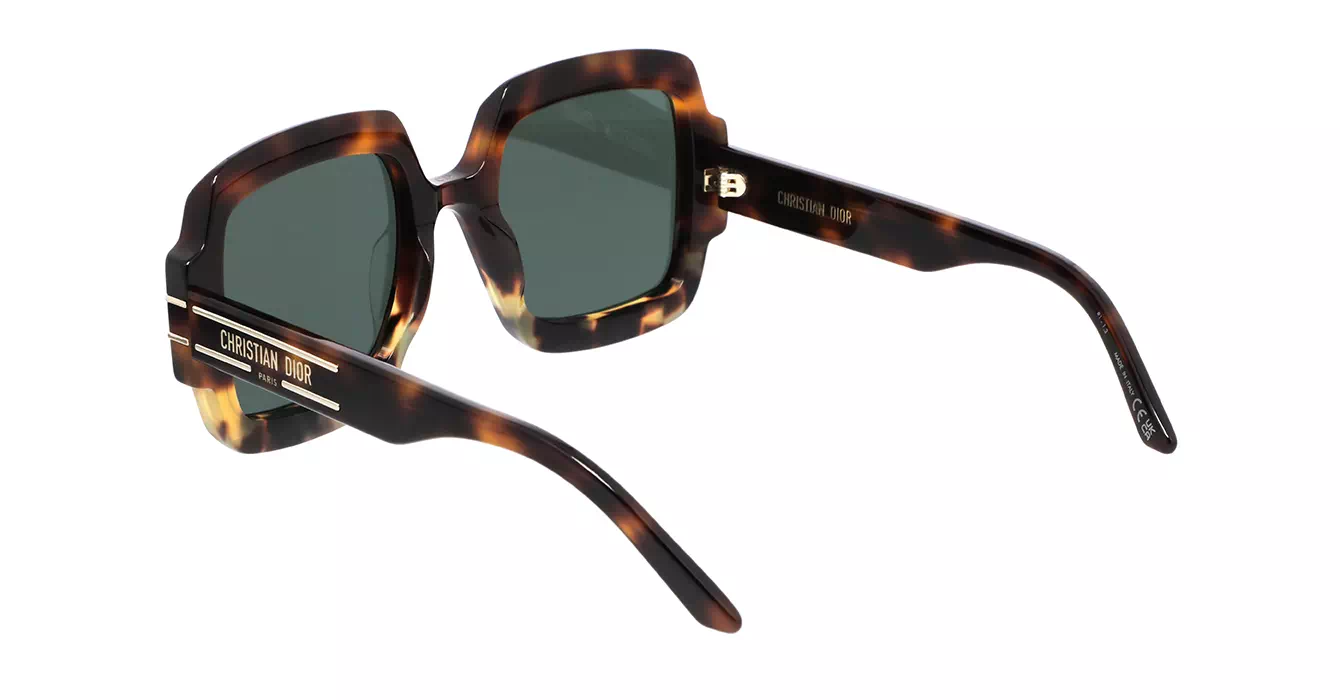 Dior Signature S1U CD40049U 24C0 s55