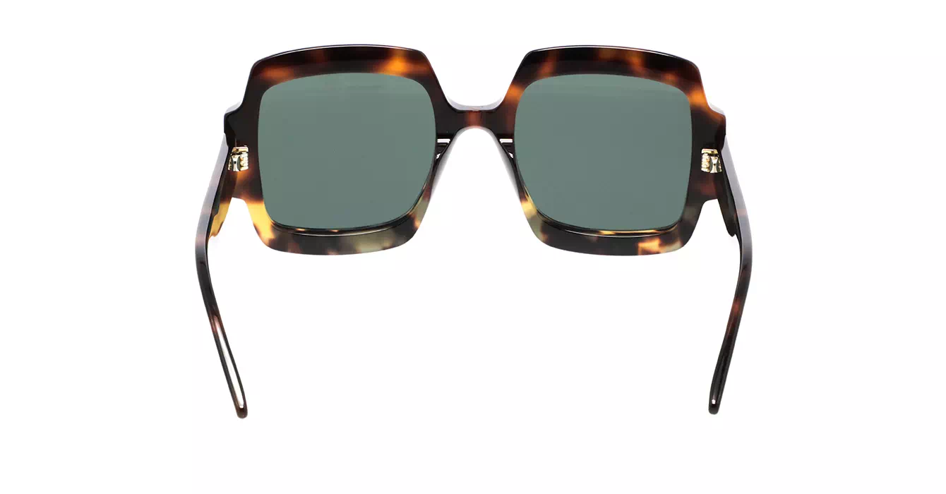 Dior Signature S1U CD40049U 24C0 s55
