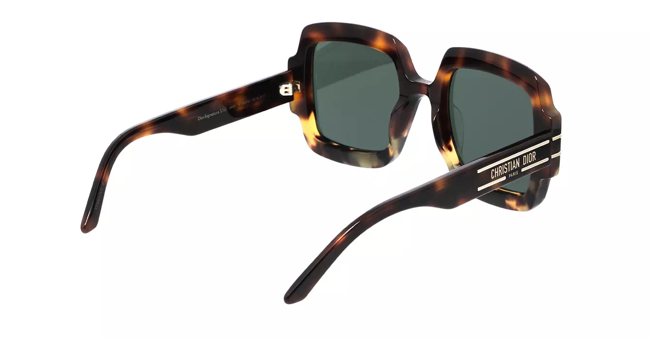 Dior Signature S1U CD40049U 24C0 s55