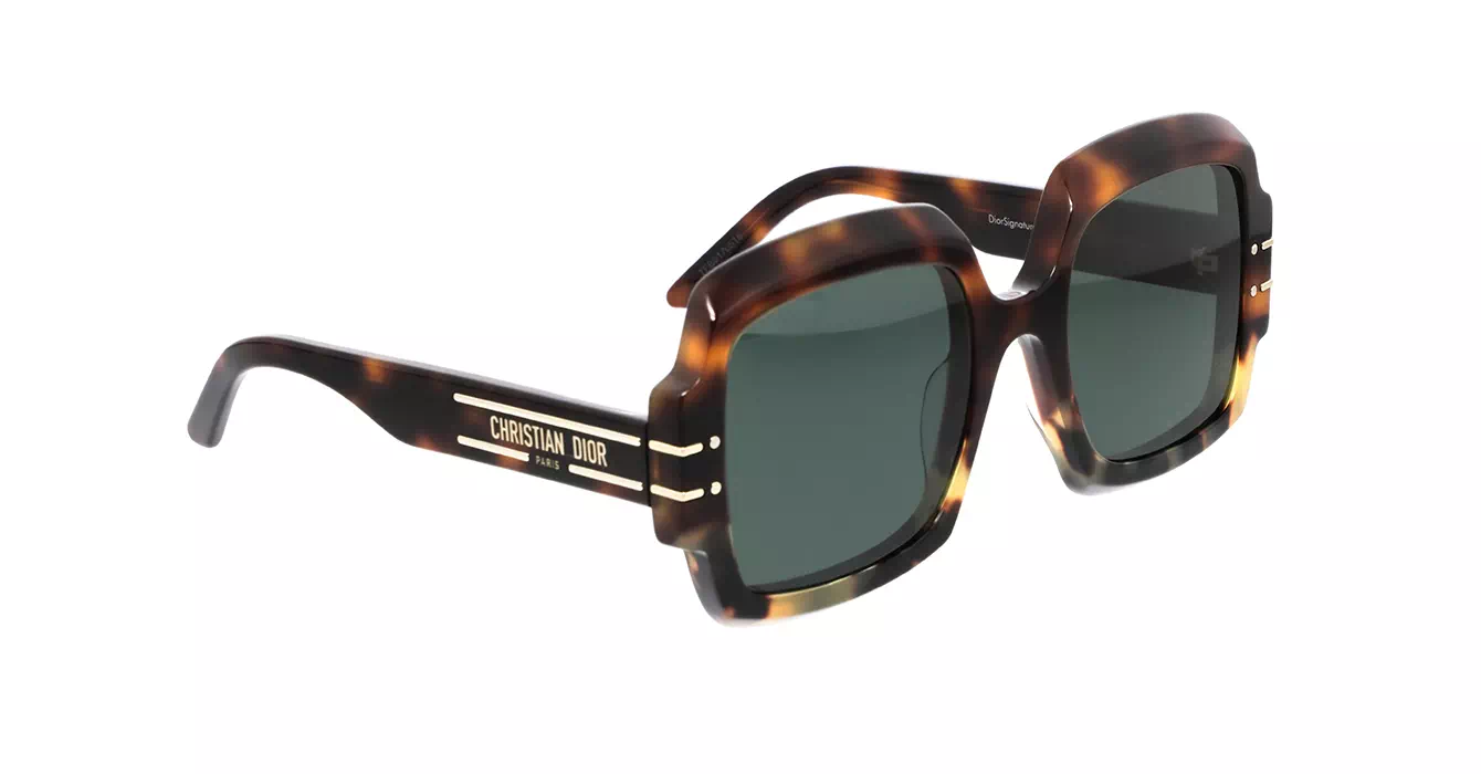 Dior Signature S1U CD40049U 24C0 s55