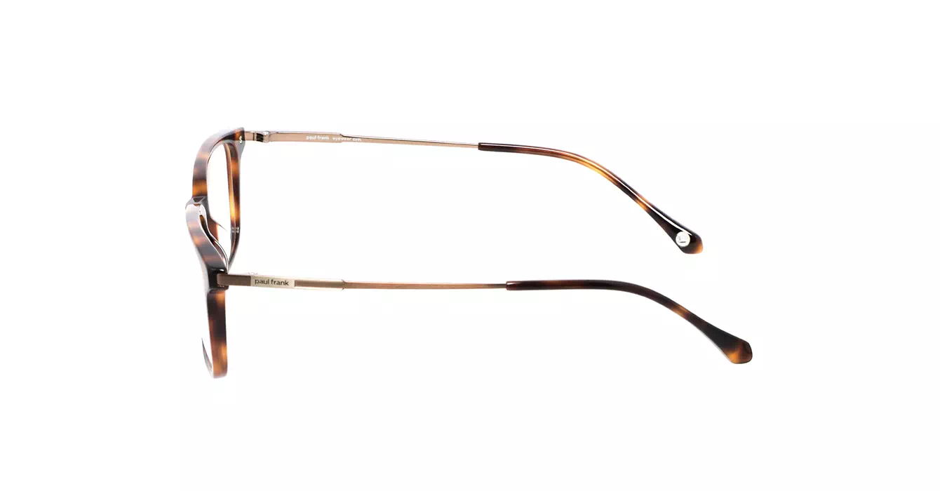 Paul Frank PFF8209 4040 s54