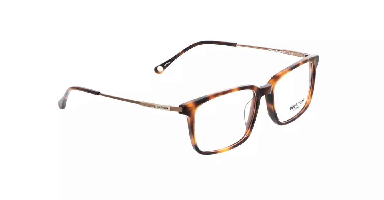 Paul Frank PFF8209 4040 s54