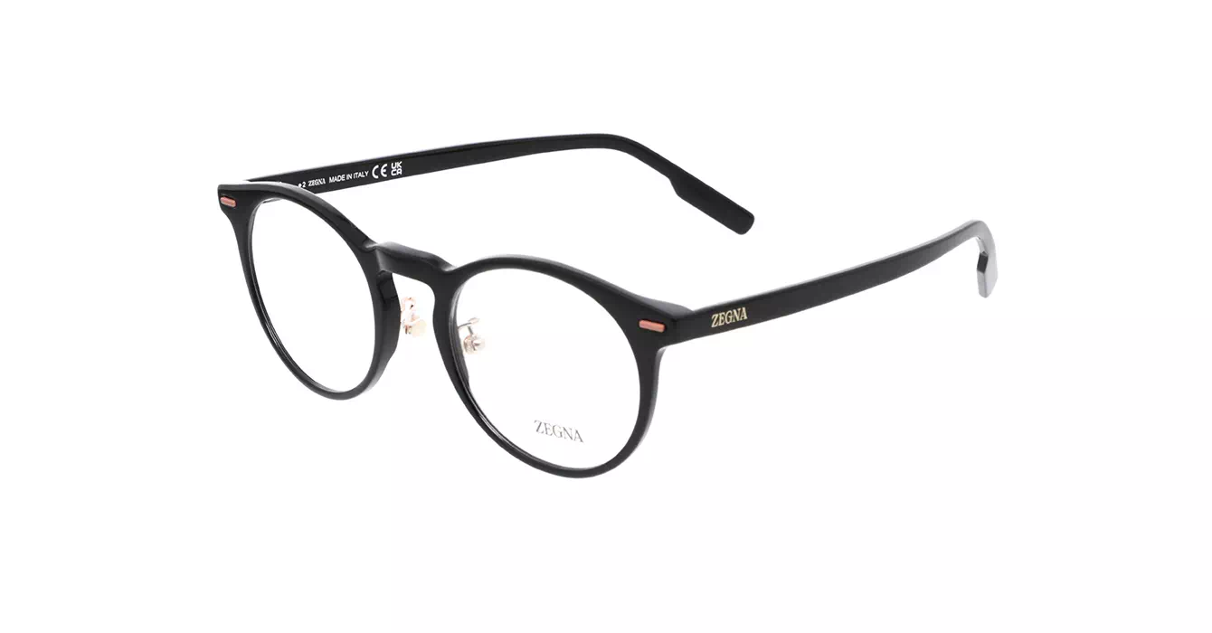 Ermenegildo Zegna EZ5249-H 001 s50