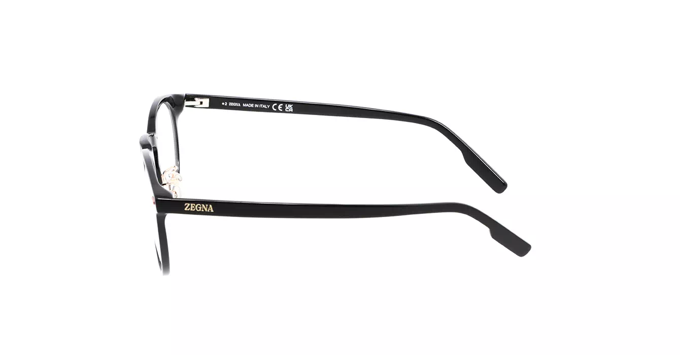 Ermenegildo Zegna EZ5249-H 001 s50