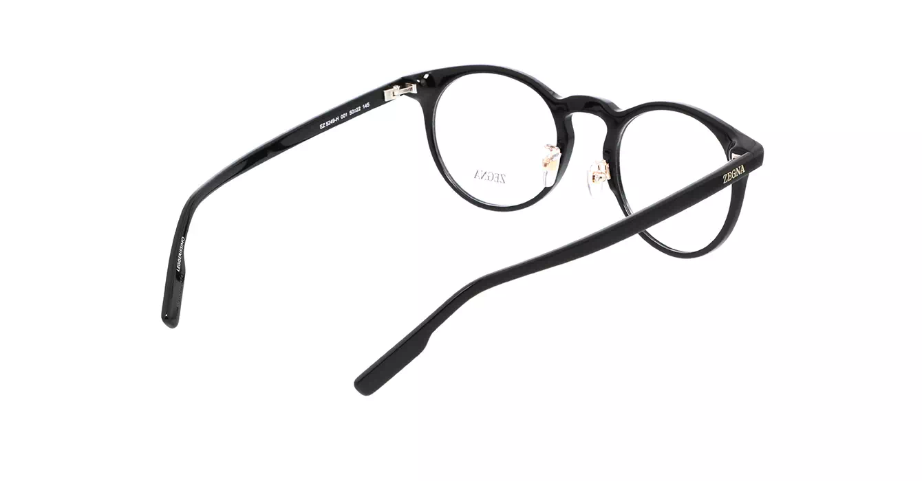Ermenegildo Zegna EZ5249-H 001 s50