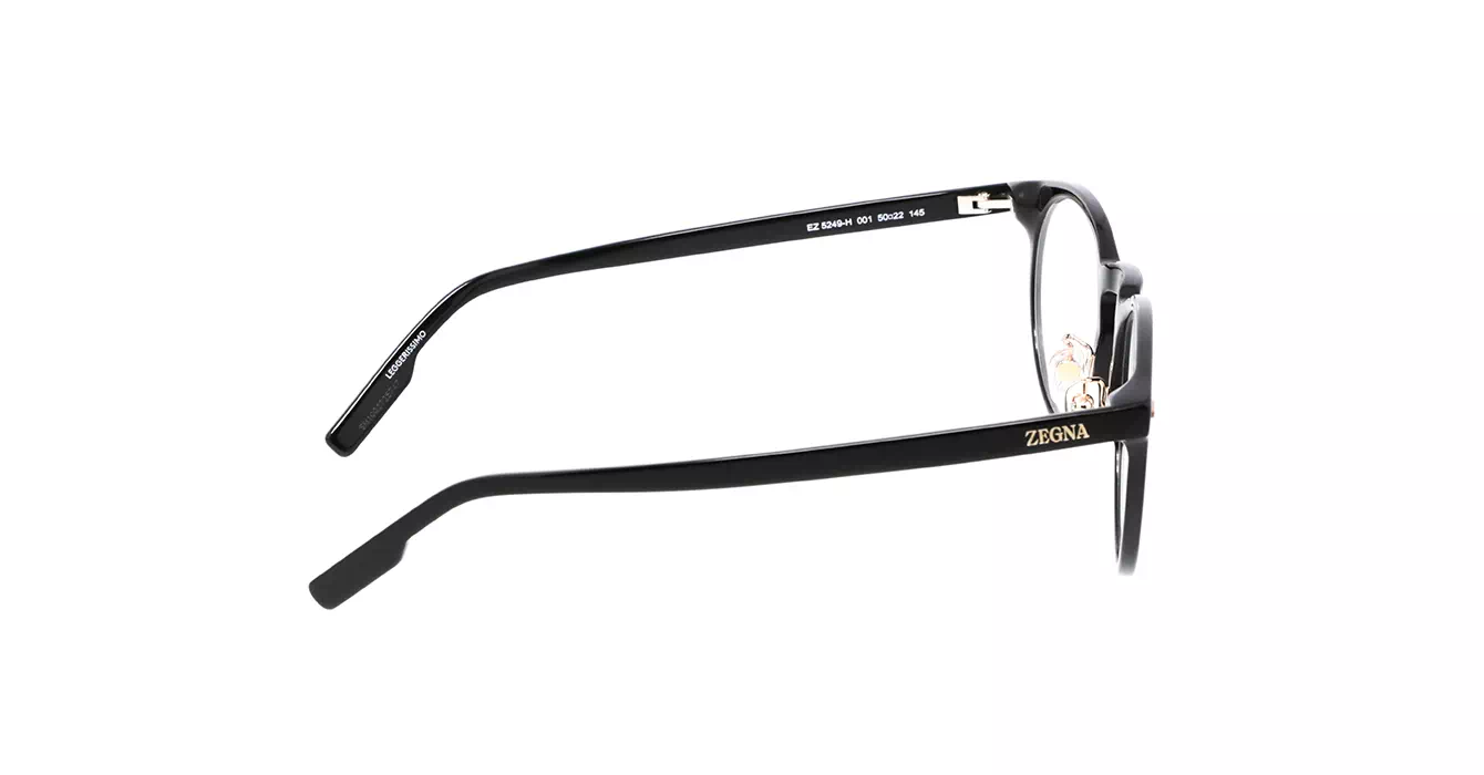 Ermenegildo Zegna EZ5249-H 001 s50