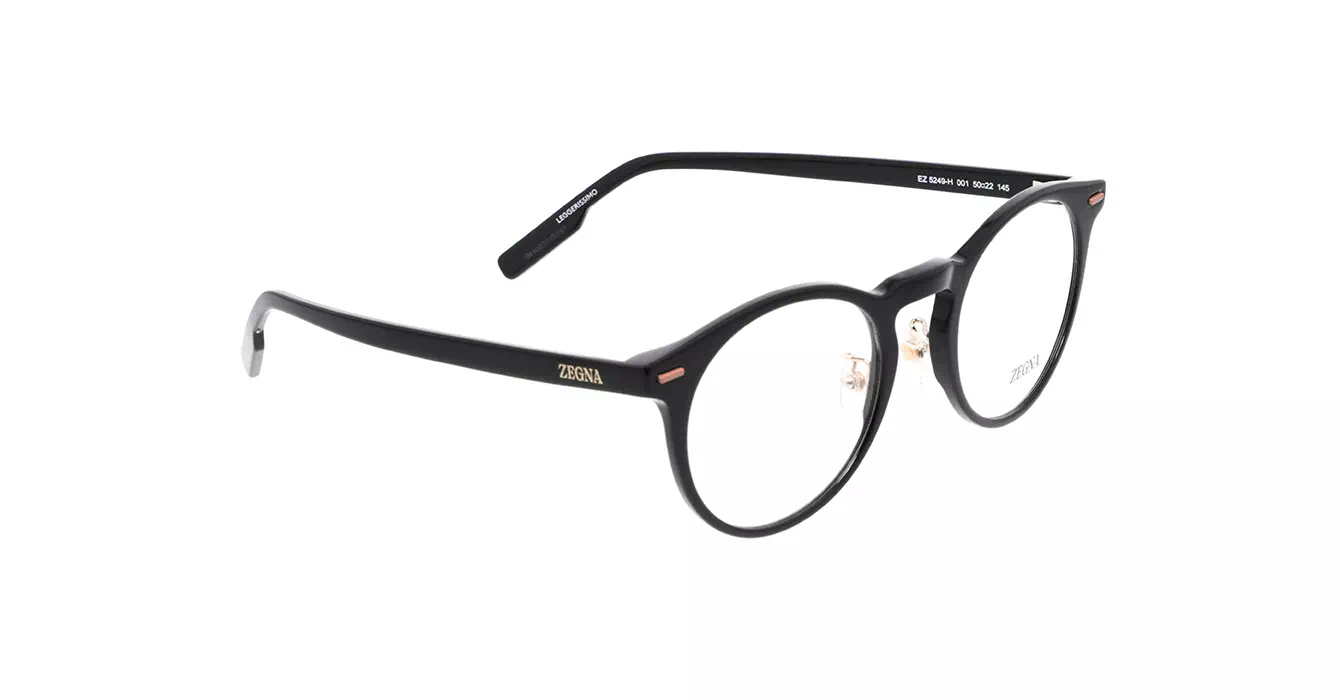 Ermenegildo Zegna EZ5249-H 001 s50