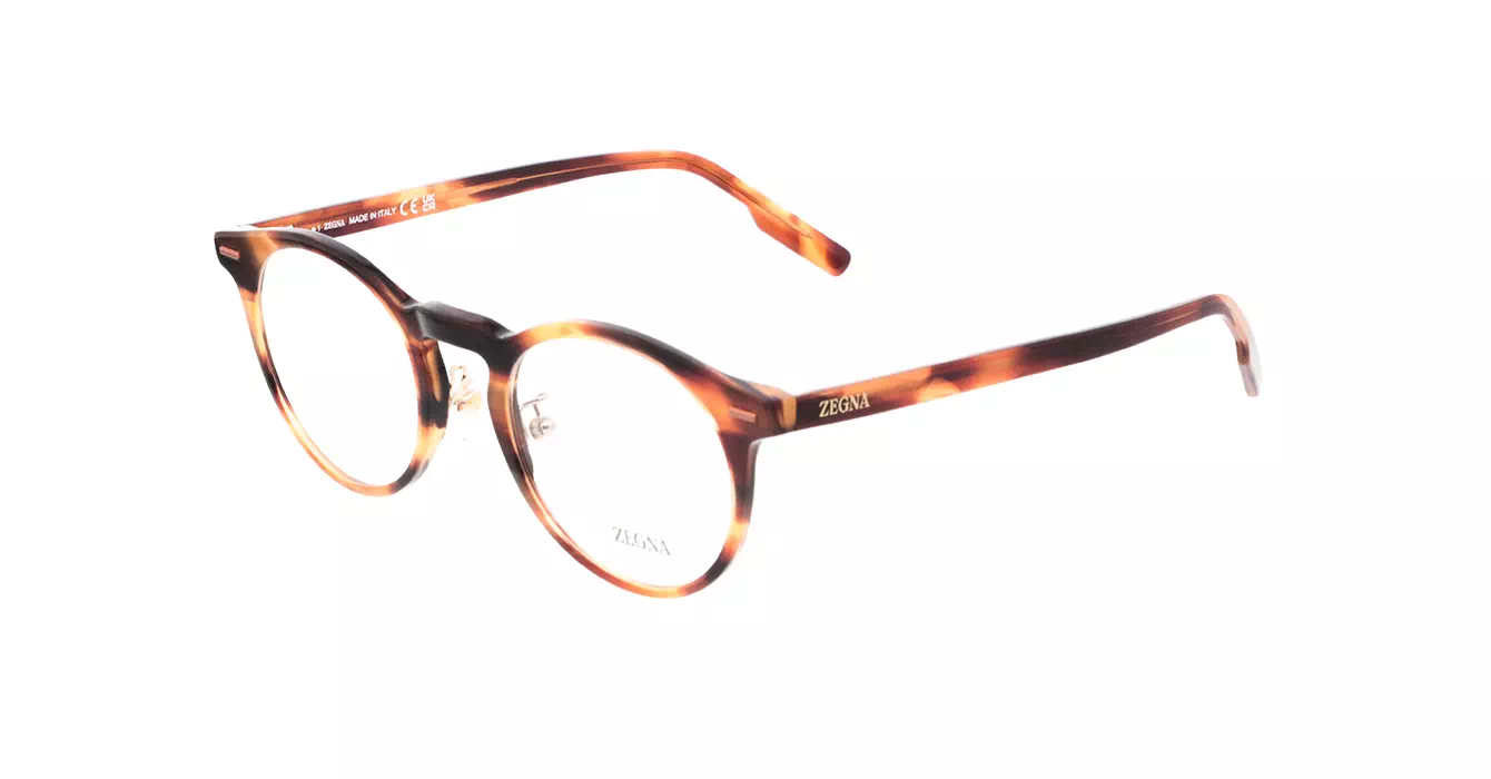 Ermenegildo Zegna EZ5249-H 056 s50
