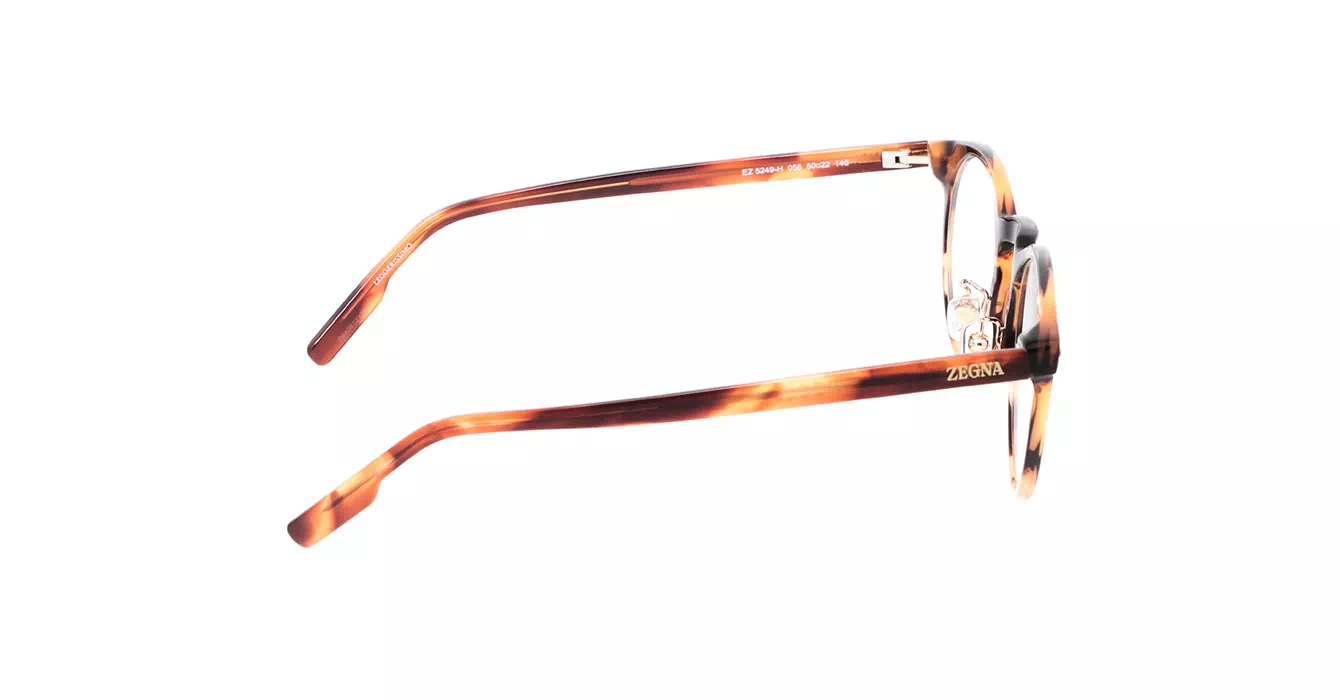 Ermenegildo Zegna EZ5249-H 056 s50
