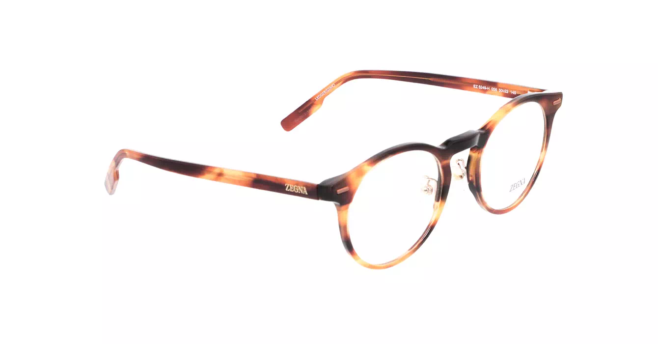 Ermenegildo Zegna EZ5249-H 056 s50