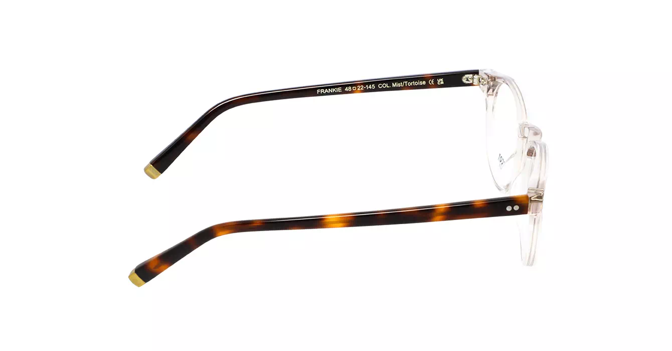 Moscot Frankie Mist/Tortoise s48
