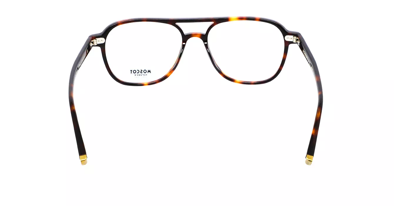 Moscot Bjorn Burnt Tortoise s55