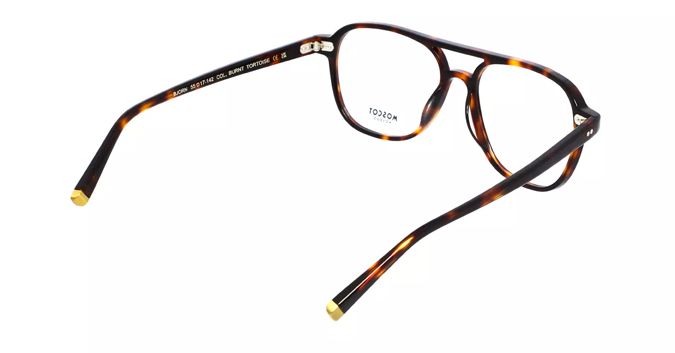 Moscot Bjorn Burnt Tortoise s55