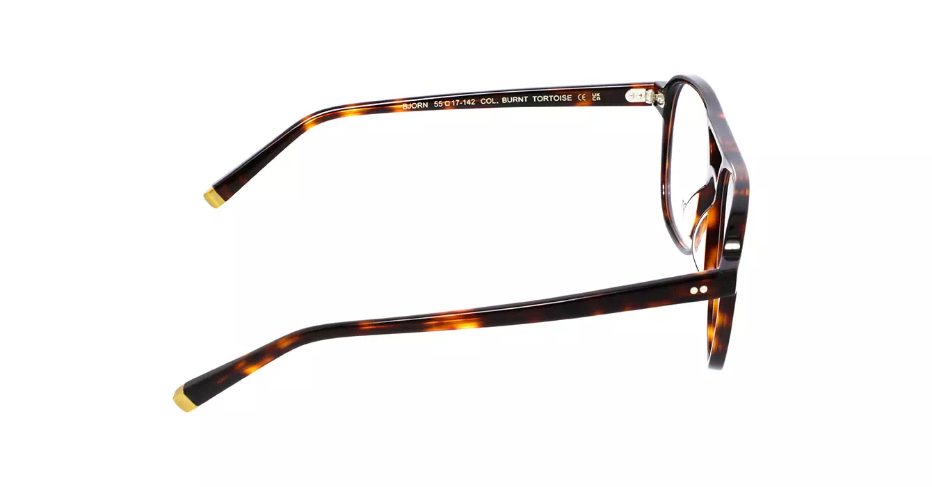 Moscot Bjorn Burnt Tortoise s55