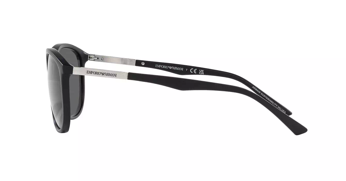 Emporio Armani EA4201F 5001/87 s58
