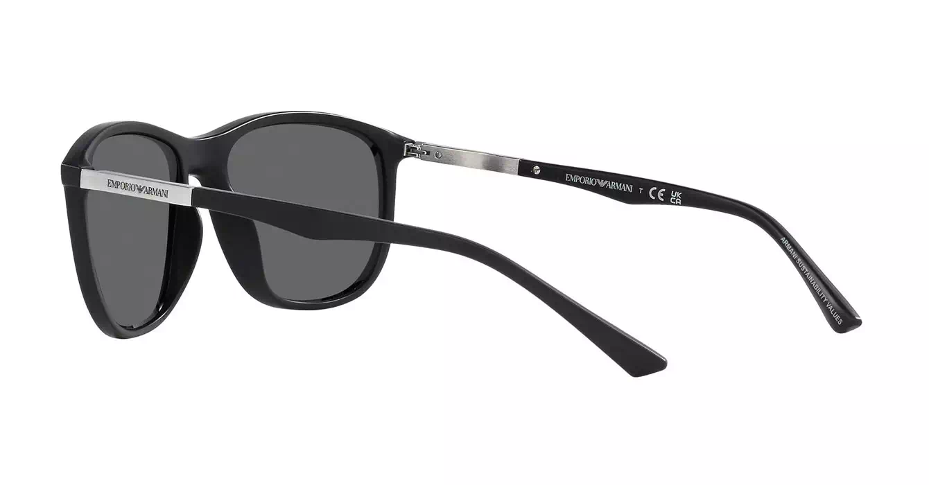 Emporio Armani EA4201F 5001/87 s58