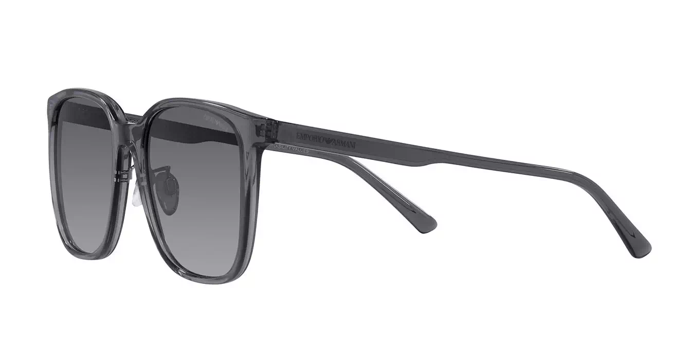 Emporio Armani EA4206D 5029/T3 s57