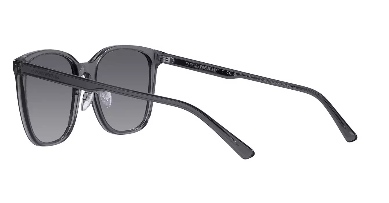 Emporio Armani EA4206D 5029/T3 s57